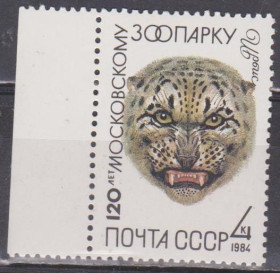 СРСР - СССР - ^/--/^ СССР 1984 фауна ирбис ^_^^^ 1984 — фауна ірбіс - фото фото фото