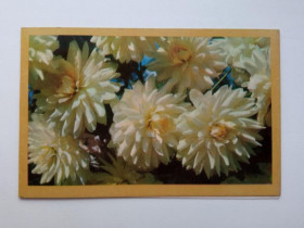 СРСР СССР ^/--/^ Открытка СССР 1972 г. ЖЕЛАЕМ СЧАСТЬЯ ! &amp;quot;ПЛАНЕТА&amp;quot;. Фото ПАПИКЬЯНА, двойная, чистая. ^_^^^ Листівка СРСР 1972 Щастя! &amp;quot; планета &amp;quot; Фото ПАПІК'ЯНА, подвійна, чиста. - фото фото фото