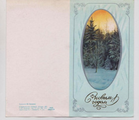 СРСР СССР ^/--/^ С НОВЫМ ГОДОМ  1981 г.  ЛУКЬЯНОВ  двойная чистая   ^_^^^ З Новим роком 1981 р. Лук'янів подвійна чиста - фото фото фото