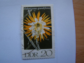 Інші країни Другие страны ^/--/^ ГДР, Михель, Германия 2010, 1628, Кактусы  (I). ^_^^^ НДР, Міхель, Німеччина 2010, 1628, Кактуси (I). - фото фото фото