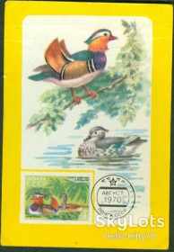 Календарі Календари ^/--/^ СССР 1987 фауна птицы картмаксимум на календарике 1970 СК 3836 см. описание ^_^^^ СРСР 1987 фауна птиці картмаксимум на календарику 1970 СК 3836 см. опис - фото фото фото