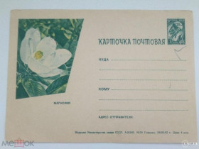 Іноземні Иностранные ^/--/^ Карточка почтовая СССР 1963 г. МАГНОЛИЯ . Гознак, чистая ^_^^^ Картка поштова СРСР 1963 р. МАГНОЛІЯ. Гознак, чиста - фото фото фото