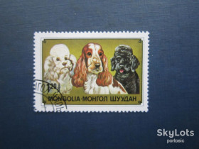 Фауна Фауна ^/--/^ Марка Монголія 1978 фауна собака порода коккер спаніель гаш ^_^^^ Марка Монголия 1978 фауна собака порода коккер спаниэль гаш - фото фото фото