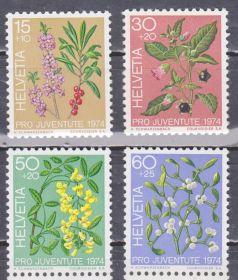 Швейцарія Швейцария ^/--/^ Швейцария 1974 ФЛОРА ЦВЕТЫ ЯГОДЫ РАСТЕНИЯ ЭНДЕМИКИ БОТАНИКА ДИКАЯ ПРИРОДА 4 /--/ м Mi.1042-1045** MNH ^_^^^ Швейцарія 1974 ФЛОРА ЦВЕТИ ЯГОДИ РАСТІННЯ ЕНДЕМІКИ БОТАНІКА ДІКА ПРИРОДУ 4 /--/ М Mi.1042-1045** MNH - фото фото фото