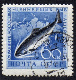СРСР - СССР - ^/--/^ СРСР 1959 - Охорона морської фауни  (Г) ^_^^^ СССР 1959 — Охрана морской фауны (Г) - фото фото фото
