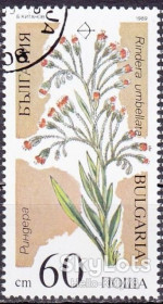 Балканський півострів Балканский полуостров ^/--/^ Болгария 1989 флора цветы Mi 3739 ^_^^^ Болгарія 1989 флора квіти Mi 3739 - фото фото фото