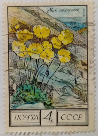СРСР - СССР - ^/--/^ СССР 1975 Мак полярный, гашеная ^_^^^ СРСР 1975 Макполярний, гашена - фото фото фото