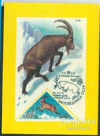 Календарі Календари ^/--/^ СССР 1991 фауна картмаксимум на календарике 1973 СК 4188 ^_^^^ СРСР 1991 фауна картмаксимум на календариці 1973 СК 4188 - фото фото фото