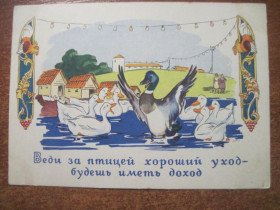 СРСР СССР ^/--/^ Пословицы. ДВеди за птицей... 1961  чистая  ^_^^^ Прислів'я. ДВЕДИ ЗА птахом... 1961 Чистий - фото фото фото