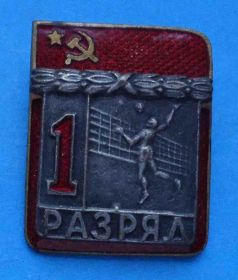 Спортивні Спортивные ^/--/^ 1 разряд волейбол ЗХЛ тяжелый ^_^^^ 1 розряд волейбол ЗХЛ важкий - фото фото фото