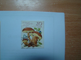 Інші країни Другие страны ^/--/^ ГДР, Михель, Германия 2010, 2554, Европейские грибы. ^_^^^ НДР, Міхель, Німеччина 2010, 2554, Європейські гриби. - фото фото фото
