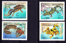 Фауна Фауна ^/--/^ Фауна .  Сомали 1996 г  MNH  - земноводных и рептилий ^_^^^ Сомалі 1996 MNH - земноводних і рептилій - фото фото фото