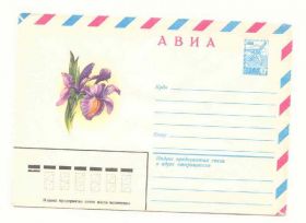 СРСР СССР ^/--/^ СССР 1981 Конверт  Цветы Коробов ^_^^^ СРСР 1981 Конверт Квіти Коробов - фото фото фото