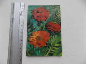 СРСР СССР ^/--/^ Открытка стерео Композиция из цветов Фото Емельянова 1986 г. ^_^^^ Листівка стерео Композиція з квітів Фото Омелянова 1986 р. - фото фото фото