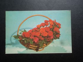 СРСР СССР ^/--/^ Цветы. Композиция. 1987 /--/ г. Поздравляю. ^_^^^ Квіти. Композиція. 1987 /--/ р. Вітаємо. - фото фото фото