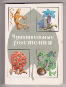 СРСР СССР ^/--/^ Квіти Гриби Рослини ^_^^^ Цветы Грибы Растения - фото фото фото