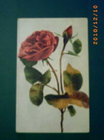 Європа Европа ^/--/^ Открытка с маркой 1923 /--/ г. ВЕНГРИЯ ^_^^^ Листівка з маркою 1923 /--/ р. Венегрія - фото фото фото