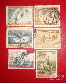 СРСР - СССР - ^/--/^ 1954 год очень редкие Марки почта СССР спорт филателия коллекция марка ^_^^^ 1954 рік дуже рідкісні Марки пошта СРСР спорт філателія колекція марка - фото фото фото