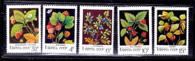 СРСР - СССР - ^/--/^ СССР  1982 г   MNH - флора ^_^^^ СРСР 1982 MNH - флора - фото фото фото