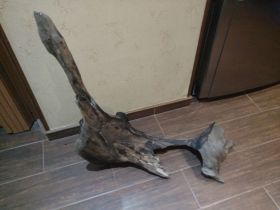 Сувенири Сувениры ^/--/^ КОРЯГА В АКВАРИУМ. ^_^^^ Коряга в акваріум. - фото фото фото