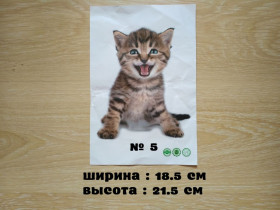 Інше Другое ^/--/^ Наклейка котик номер 5 для ванны, детской комнаты ^_^^^ Котик номер 5 для ванни, дитячої кімнати - фото фото фото