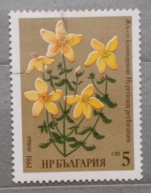 Флора Флора ^/--/^ Болгария 1981 г - Лекарственные растения. . Зверобой продырявленный  (Hypericum perforatum L.) ^_^^^ Болгарія 1981 - Лікарські рослини. Звіробій продирявлений (Hypericum perforatum L.) - фото фото фото