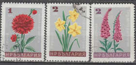 Флора Флора ^/--/^ Болгария Болгарія 1966 флора цветы ^_^^^ Болгария Болгария 1966 флора цветы - фото фото фото