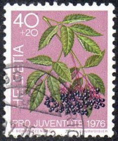 Швейцарія Швейцария ^/--/^ Швейцарія 1976 - Лікарські рослини лісу  (Гб) ^_^^^ Швейцария 1976 - Врачебные растения леса (Гб) - фото фото фото