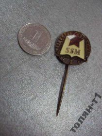 Інше Другое ^/--/^ знак фрачник ssm пионерия 1 №10038 ^_^^^ знак фрачник ssm піонерія 1 No /--/ 10038 - фото фото фото