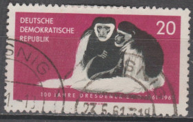 НДР, ФРН ГДР, ФРГ ^/--/^ Германия Німеччина ГДР 1961 фауна зоопарк ^_^^^ Германия ГДР 1961 фауна зоопарк - фото фото фото