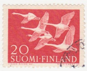 Скандинавія Скандинавия ^/--/^ Финляндия 1956 г. № 472 гашеная ^_^^^ Фінляндія 1956 р. No 472 гашена - фото фото фото