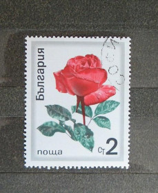 Флора Флора ^/--/^ Болгарія, Троянда, марка з серії, гашен. ^_^^^ Болгария, Роза, марка из серии, гашен. - фото фото фото