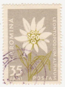 Румунія Румыния ^/--/^ Румыния 1957 г №  1656 гашеная ^_^^^ Румунія 1957 р. No 1656 гашена - фото фото фото