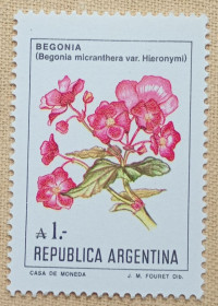 Флора Флора ^/--/^ Аргентина 1985 г - Цветы. Бегония  (Begonia micranthera var. Hieronymi), негаш ^_^^^ Аргентина 1985 — Квіти. Бегонія (Begonia micranthera var. Hieronymi), негаш - фото фото фото