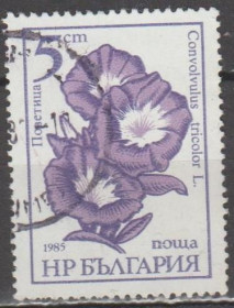 Флора Флора ^/--/^ Болгария Болгарія 1985 флора цветы ^_^^^ Болгария Болгария 1985 флора цветы - фото фото фото