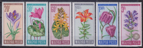 Угорщина Венгрия ^/--/^ Венгрия 1966 ПОЛЕВЫЕ ЦВЕТЫ РАСТЕНИЯ ФЛОРА ДИКАЯ ПРИРОДА ОХРАНА ЗАЩИТА 6 /--/ м** MNH Mi.2212-7 /--/ A EUR 5.50 ^_^^^ Угорщина 1966 ПОЛЕВІ КРАЇНИ РОЗВИТКУ ФЛОРА ДІКА ПРИРОДУ ОХОРОНА ЗАХИСТУ 6 /--/ М** MNH Mi.2212-7 /--/ A EUR 5.50 - фото фото фото
