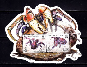 Фауна Фауна ^/--/^ Фауна . Питкерн 2009 г   **  -  блок - кокосовый краб - ^_^^^ Піткерн 2009 ** - блок - кокосовий краб - фото фото фото