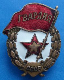 Відзнаки Знаки отличий ^/--/^ Гвардия боевая ^_^^^ Гвардія бойова - фото фото фото