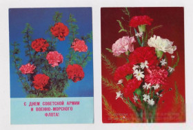 СРСР СССР ^/--/^ С ДНЕМ СОВЕТСКОЙ АРМИИ И ВОЕННО-МОРСКОГО ФЛОТА  2 ДМПК 1988, 1989 г.  ДЕРГИЛЕВ, КРУЦКО  чистые  ^_^^^ З Днем радянської армії і військово-морського флоту 2 ДМПК 1988, 1989 р. ДЕРГІЛЕВ, КРУЦЬКО чисті - фото фото фото