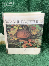 Видання - р. Издания - гг. ^/--/^ Книга энциклопедия том 2 Грибы «Жизнь растений» «Просвещение» 1976 г. Н /--/ 7054  Второй том ^_^^^ Книга енциклопедія том 2 Гриби «Життя рослин» «Просвіта» 1976 р. Н /--/ 7054 Другий том - фото фото фото