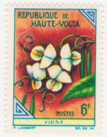 Інші країни Другие страны ^/--/^ Буркина-Фасо   (Верхняя Вольта)  1963 г.№ 126 ** ^_^^^ Буркіна-Фасо (Верхня Вольта) 1963 No 126 ** - фото фото фото