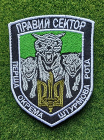 Інше Другое ^/--/^ Шеврон Правий сектор Перша окрема штурмова рота № 2098 ^_^^^ Перша окрема штурмова рота No 2098 - фото фото фото