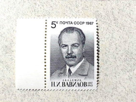 СРСР - СССР - ^/--/^ Поштова марка СССР &amp;quot; 100 років від дня народження М. І. Вавілова &amp;quot; 1987 рік ** ^_^^^ Почтовая марка СССР &amp;quot; Личность М. И. Вавилов &amp;quot; 1987 год ** - фото фото фото