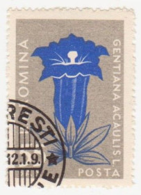 Румунія Румыния ^/--/^ Румыния 1957 г №  1657 гашеная ^_^^^ Румунія 1957 р. No 1657 гашена - фото фото фото