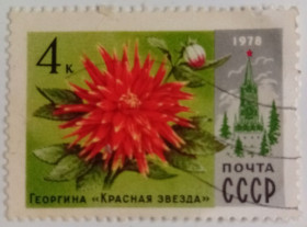 СРСР - СССР - ^/--/^ СССР 1978 Георгина Красная звезда, гашеная ^_^^^ СРСР 1978 Георгина Червона зірка, гашена - фото фото фото