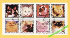 Фауна Фауна ^/--/^ ФАУНА 1978 ЭКВ. ГВИНЕЯ ЛИСТ Кошки Кошка Блок 8 /--/ м МЛ ^_^^^ ФАУНА 1978 ЕКВ. Гвінея Лист Кішки Кішка Блок 8 /--/ м МЛ - фото фото фото