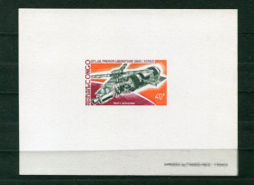 Освоєння космосу Освоение космоса ^/--/^ Конго  Congo space 1973 Mi 395 Skylab MNH ^_^^^ Конго Congo space 1973 Mi 395 Skylab MNH - фото фото фото