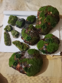 Аксесуари Аксессуары ^/--/^ Для диорамы  Кочки 6 /--/ шт. + камни 5 шт ^_^^^ Для діорами Кочки 6 /--/ шт. + камені 5 шт - фото фото фото