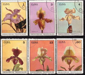 Флора Флора ^/--/^ Куба. Орхидеи  (серия без ё марки) 1972 г. ^_^^^ Куба. Орхідеї (серія без її марки) 1972 - фото фото фото