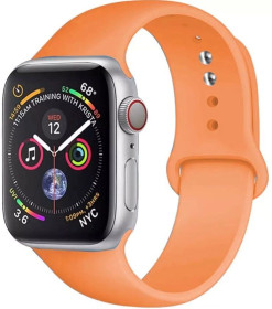 Браслети, ремінці Браслеты, ремешки ^/--/^ Силиконовый браслет для Apple Watch 38 /--/ mm / 40 /--/ mm #02 ^_^^^ Силіконовий браслет для Apple Watch 38 /--/ mm / 40 /--/ mm #02 - фото фото фото